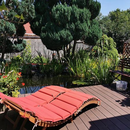 Ferienhaus Mit Mediterraner Terrasse Mullrose Экстерьер фото